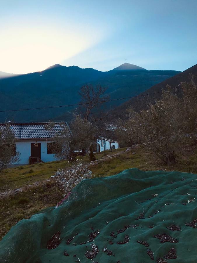 "Casa Da Russa" Mountain Experience Vendégház Vila Real Kültér fotó